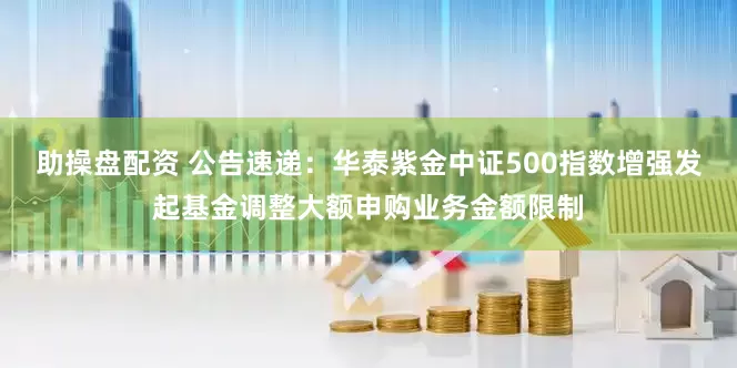 助操盘配资 公告速递:华泰紫金中证500指数增强发起基金调整大额申购业务金额限制